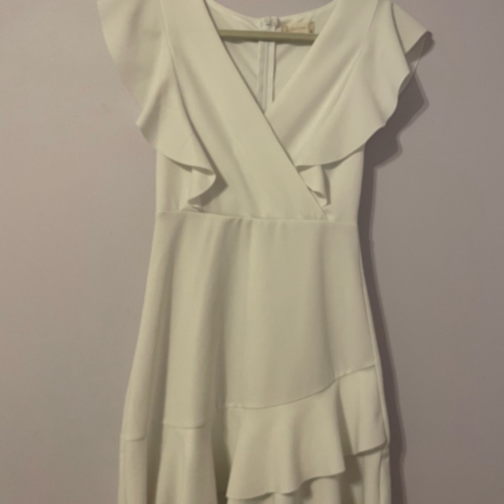 Altar'd State Ruffle Mini Dress